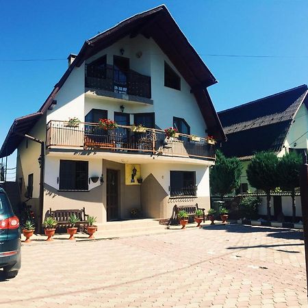 Casa Alberta Ocna Şugatag Εξωτερικό φωτογραφία