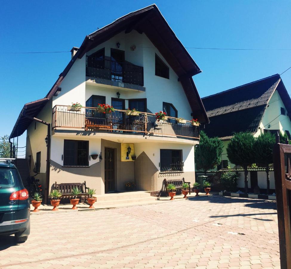 Casa Alberta Ocna Şugatag Εξωτερικό φωτογραφία